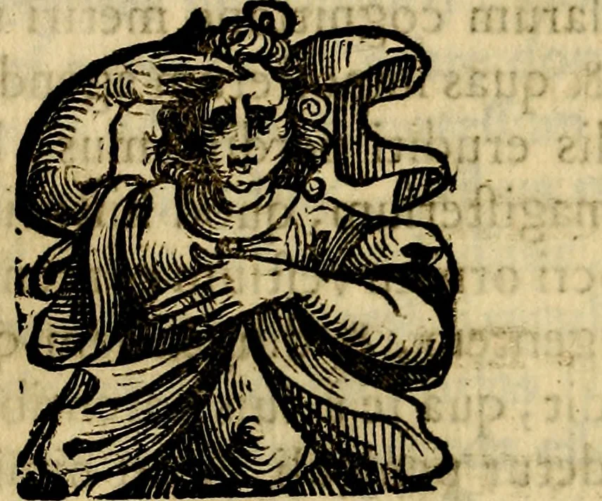 An illustration from Bibliothecae Alexandrinae icones symbolicae P.D. Christofori Giardae cler. reg. S. Pauli elogiis illustratae, 1628, leaf 197