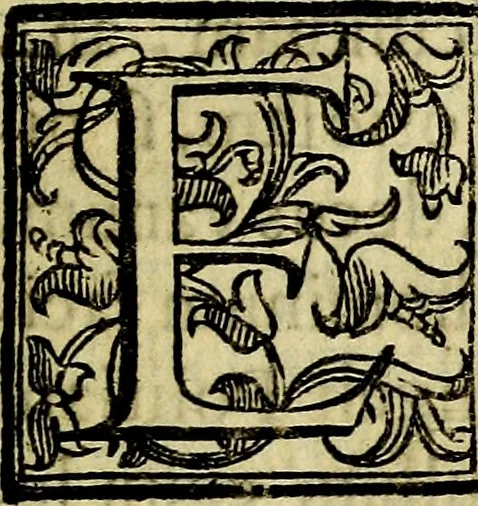 An illustration from Bibliothecae Alexandrinae icones symbolicae P.D. Christofori Giardae cler. reg. S. Pauli elogiis illustratae, 1628, leaf 202