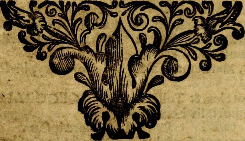 An illustration from Bibliothecae Alexandrinae icones symbolicae P.D. Christofori Giardae cler. reg. S. Pauli elogiis illustratae, 1628, leaf 211