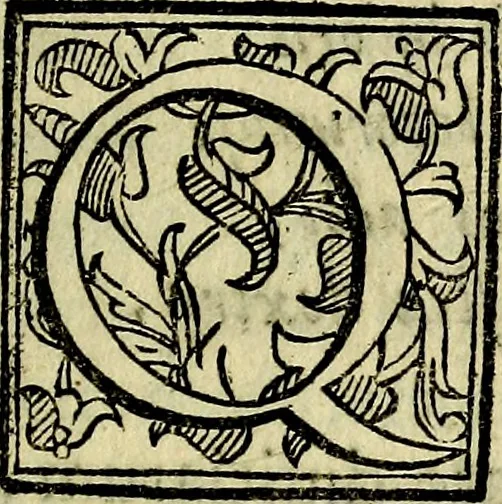 An illustration from Bibliothecae Alexandrinae icones symbolicae P.D. Christofori Giardae cler. reg. S. Pauli elogiis illustratae, 1628, leaf 28