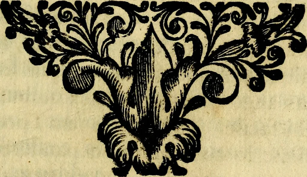 An illustration from Bibliothecae Alexandrinae icones symbolicae P.D. Christofori Giardae cler. reg. S. Pauli elogiis illustratae, 1628, leaf 48