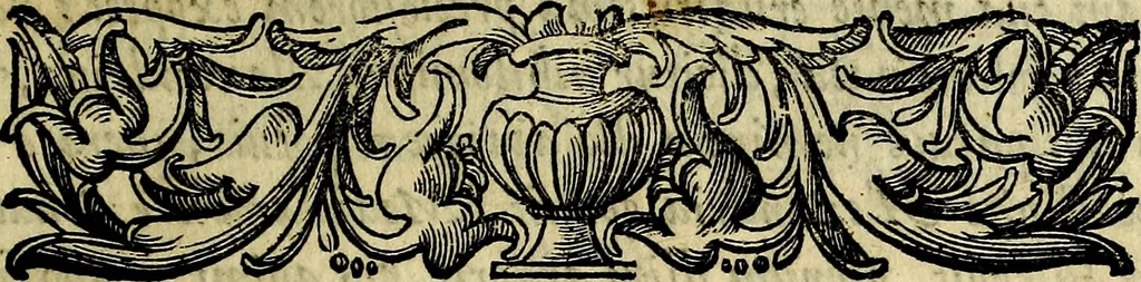 An illustration from Bibliothecae Alexandrinae icones symbolicae P.D. Christofori Giardae cler. reg. S. Pauli elogiis illustratae, 1628, leaf 6