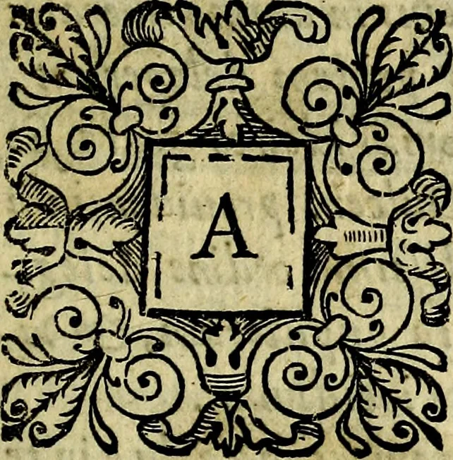 An illustration from Bibliothecae Alexandrinae icones symbolicae P.D. Christofori Giardae cler. reg. S. Pauli elogiis illustratae, 1628, leaf 6
