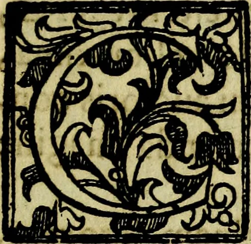 An illustration from Bibliothecae Alexandrinae icones symbolicae P.D. Christofori Giardae cler. reg. S. Pauli elogiis illustratae, 1628, leaf 88