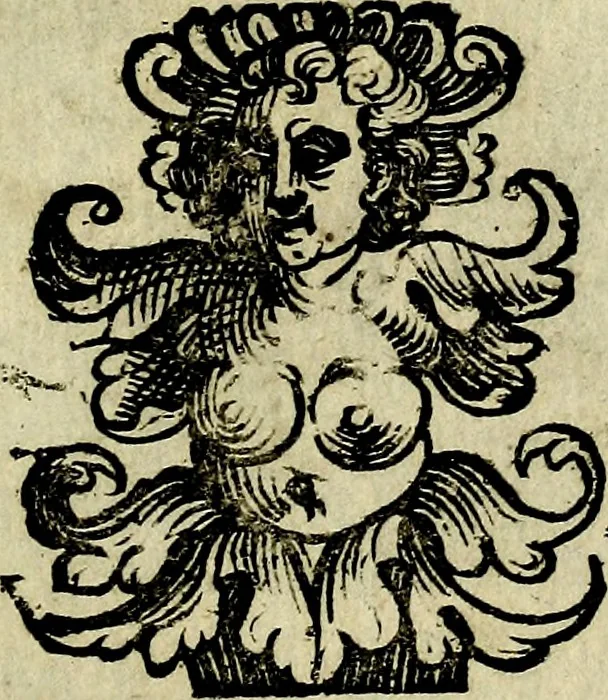 An illustration from Bibliothecae Alexandrinae icones symbolicae P.D. Christofori Giardae cler. reg. S. Pauli elogiis illustratae, 1628, leaf 96