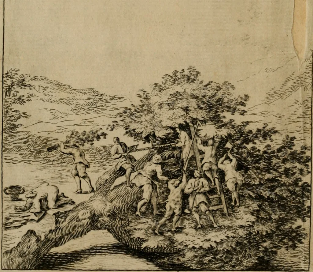 An illustration from Bibliothecae Bridgesianae catalogus, or, A catalogue of the entire library of John Bridges, late of Lincolns-Inn, Esq. : consisting of above 4000 books and manuscripts in all languages and faculties, particularly in classics and history, and especially the history and antiquities of Great-Britain and Ireland, which will begin to be sold by auction on Monday the seventh day of February 1725/6, at his chambers in Lincolns-Inn, no. 6, 1726, leaf 9