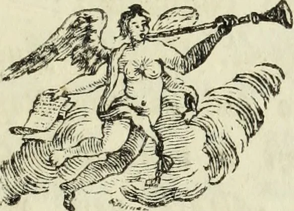 An illustration from Bibliotheca Maphaei Pinellii Veneti magno jam studio collecta, 1787, leaf 350