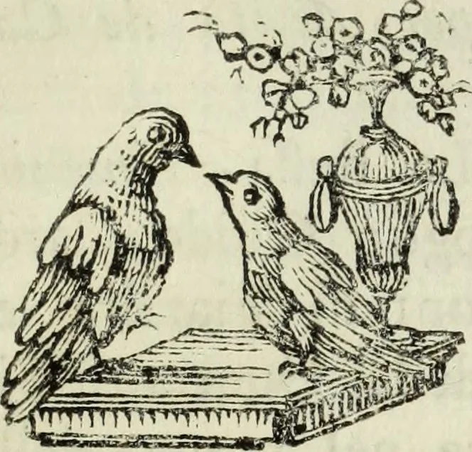 An illustration from Bibliotheca Maphaei Pinellii Veneti magno jam studio collecta, 1787, leaf 184