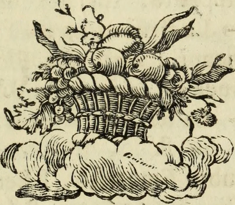 An illustration from Bibliotheca Maphaei Pinellii Veneti magno jam studio collecta, 1787, leaf 470