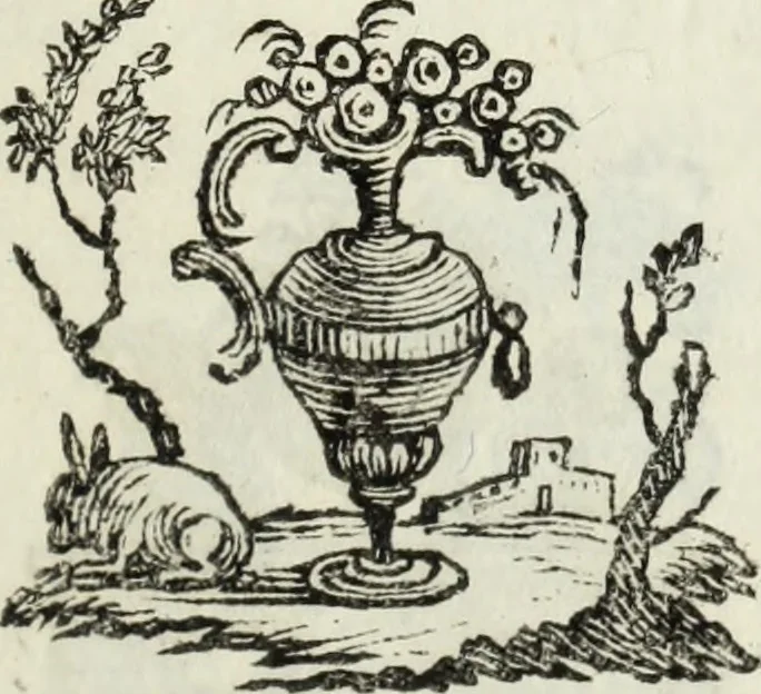 An illustration from Bibliotheca Maphaei Pinellii Veneti magno jam studio collecta, 1787, leaf 208