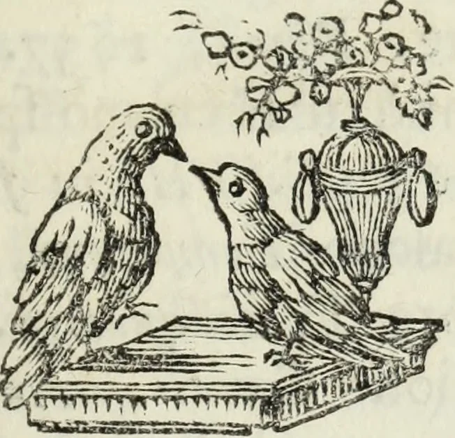 An illustration from Bibliotheca Maphaei Pinellii Veneti magno jam studio collecta, 1787, leaf 58