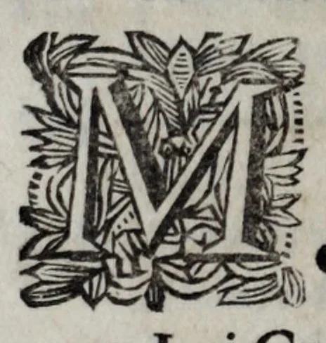 An illustration from Bibliotheca Nicolaiana, in duas partes divisa : quarum prima libros continet, altera numismatum ac operis prisci thesaurum : omnia multo judicio & assiduo labore collegit nobilissimus juvenis, Cornelius Nicolai, 1698, leaf 224