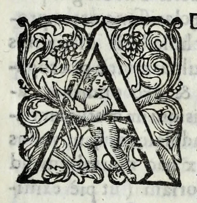 An illustration from Bibliotheca scriptorum Ordinis Minorum S. Francisci Capucinorum, 1691, leaf 29
