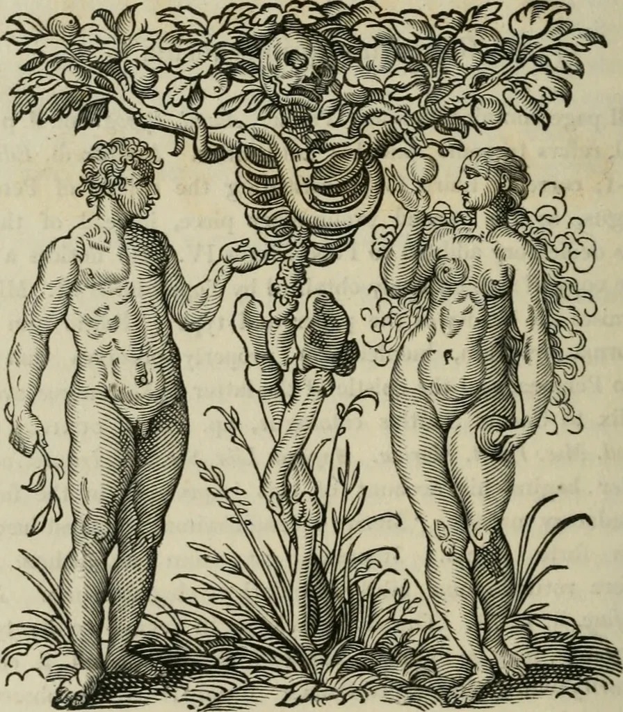An illustration from Bibliotheca Spenceriana; or, A descriptive catalogue of the ... library of George John, earl Spencer, 1814, leaf 317
