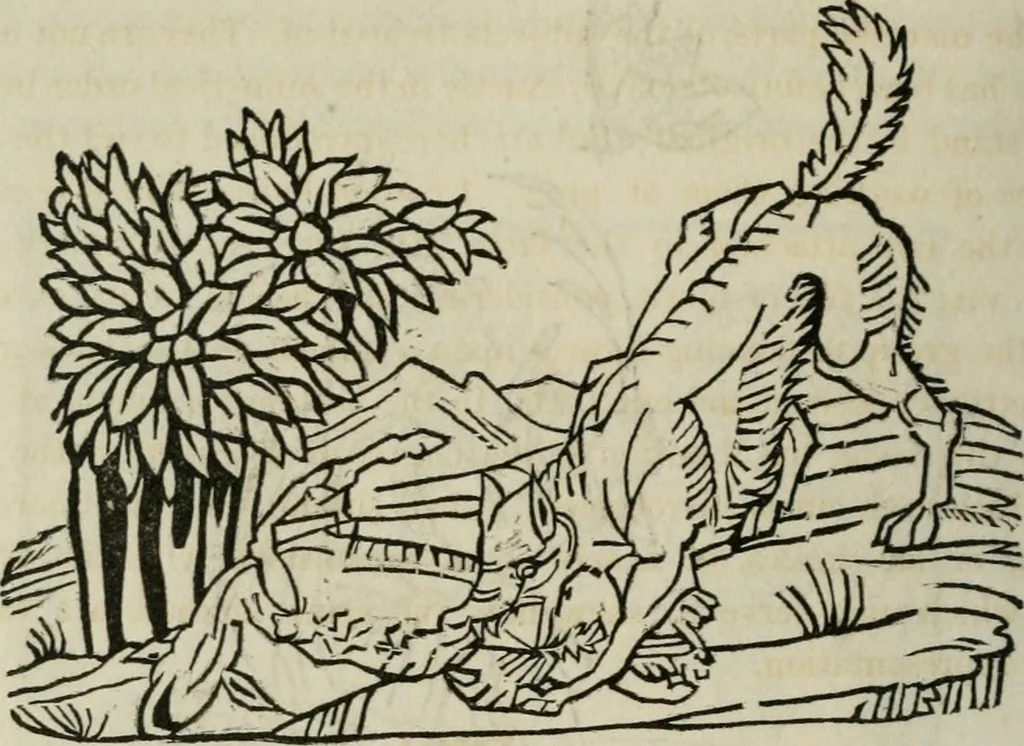 An illustration from Bibliotheca Spenceriana; or, A descriptive catalogue of the ... library of George John, earl Spencer, 1814, leaf 333
