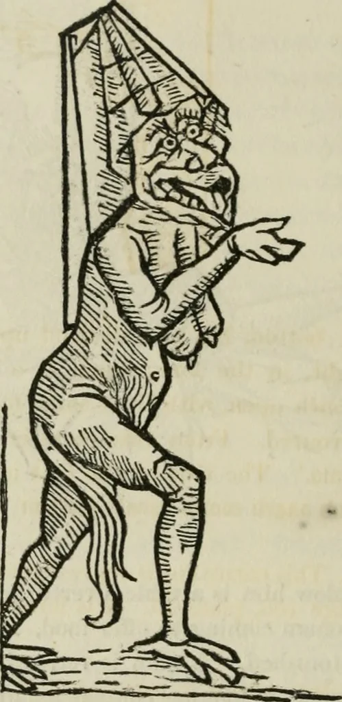 An illustration from Bibliotheca Spenceriana; or, A descriptive catalogue of the ... library of George John, earl Spencer, 1814, leaf 55