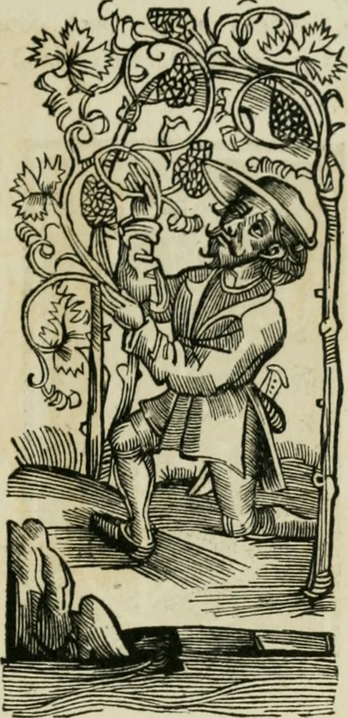 An illustration from Bibliotheca Spenceriana; or, A descriptive catalogue of the ... library of George John, earl Spencer, 1814, leaf 102