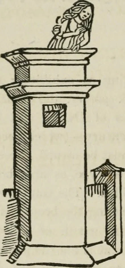 An illustration from Bibliotheca Spenceriana; or, A descriptive catalogue of the ... library of George John, earl Spencer, 1814, leaf 189