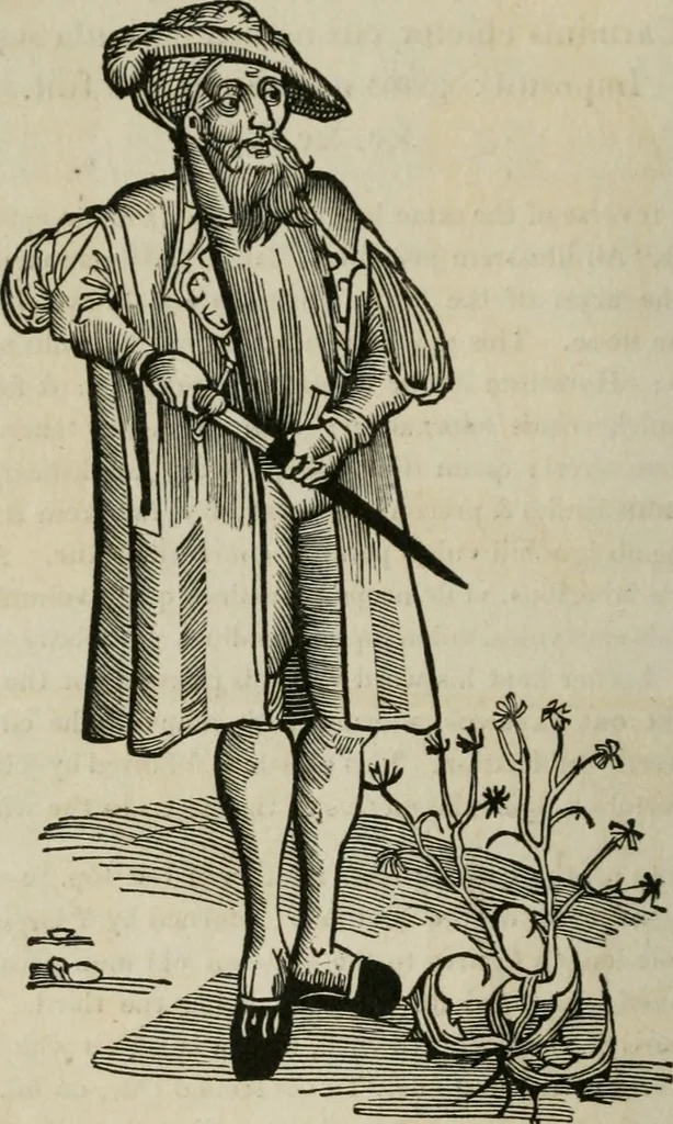 An illustration from Bibliotheca Spenceriana; or, A descriptive catalogue of the ... library of George John, earl Spencer, 1814, leaf 99