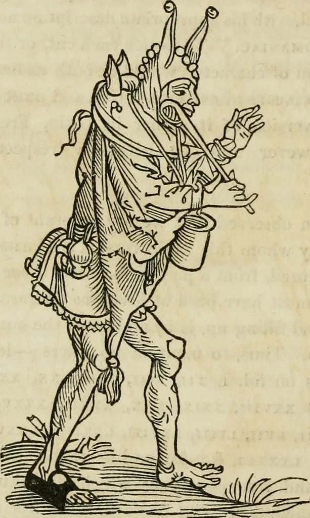 An illustration from Bibliotheca Spenceriana; or, A descriptive catalogue of the ... library of George John, earl Spencer, 1814, leaf 215