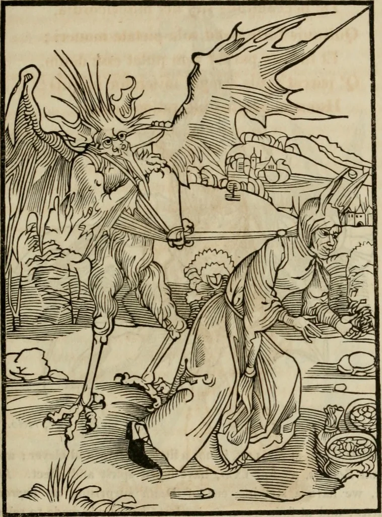 An illustration from Bibliotheca Spenceriana; or, A descriptive catalogue of the ... library of George John, earl Spencer, 1814, leaf 216