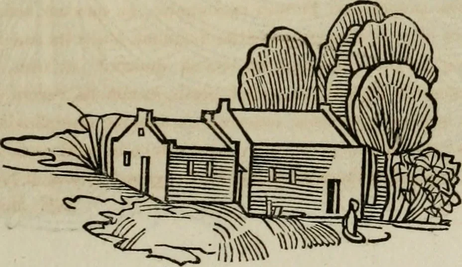 An illustration from Bibliotheca Spenceriana; or, A descriptive catalogue of the ... library of George John, earl Spencer, 1814, leaf 228