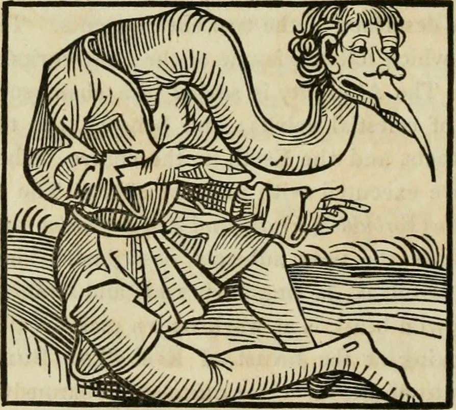 An illustration from Bibliotheca Spenceriana; or, A descriptive catalogue of the ... library of George John, earl Spencer, 1814, leaf 265