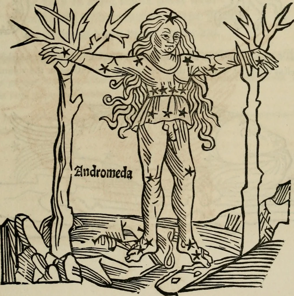 An illustration from Bibliotheca Spenceriana; or, A descriptive catalogue of the ... library of George John, earl Spencer, 1814, leaf 396