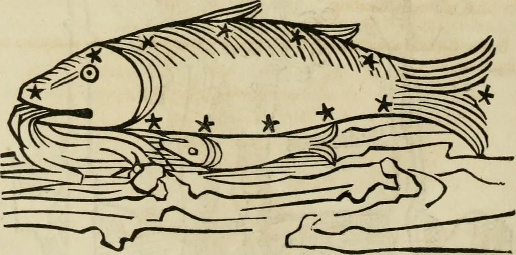 An illustration from Bibliotheca Spenceriana; or, A descriptive catalogue of the ... library of George John, earl Spencer, 1814, leaf 397