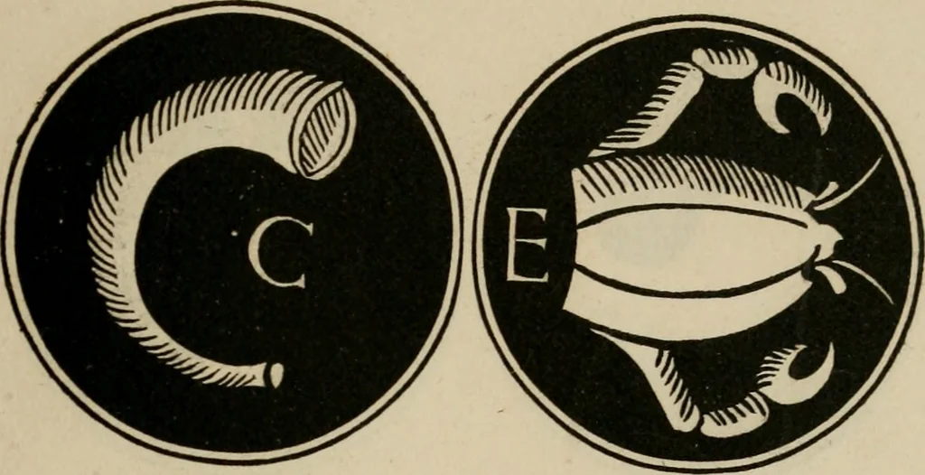 An illustration from Bibliotheca Spenceriana; or, A descriptive catalogue of the ... library of George John, earl Spencer, 1814, leaf 484