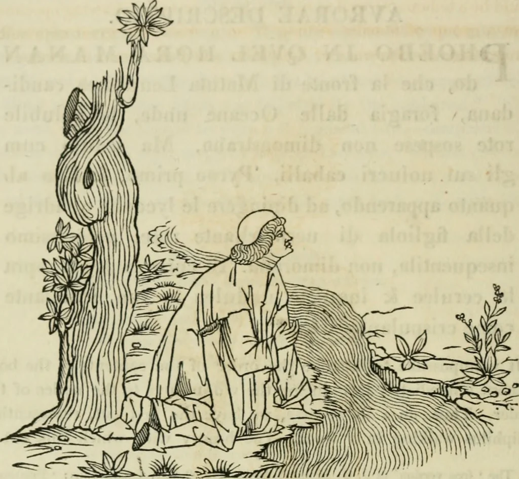 An illustration from Bibliotheca Spenceriana; or, A descriptive catalogue of the ... library of George John, earl Spencer, 1814, leaf 179
