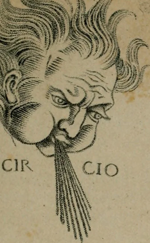 An illustration from Bibliotheca Spenceriana; or, A descriptive catalogue of the ... library of George John, earl Spencer, 1814, leaf 82