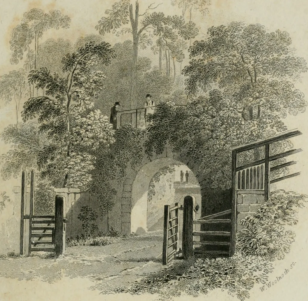 An illustration from Bibliotheca Spenceriana; or, A descriptive catalogue of the ... library of George John, earl Spencer, 1814, leaf 88