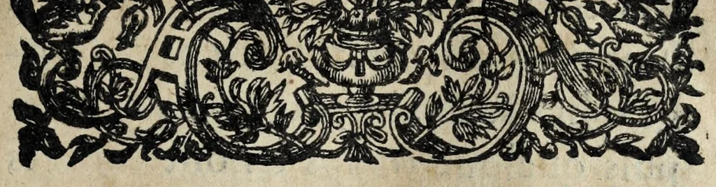 An illustration from Bibliothèque des autheurs qui ont escrit l'histoire et topographie de la France : diuisee en deux parties, felon l'ordre des temps & des matieres, 1627, leaf 13