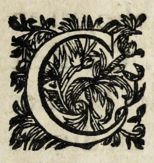 An illustration from Bibliothèque des autheurs qui ont escrit l'histoire et topographie de la France : diuisee en deux parties, felon l'ordre des temps & des matieres, 1627, leaf 7