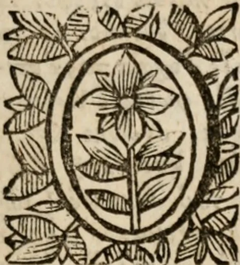 An illustration from Bibliothēkēs ē peri theōn biblion á. In usum schulae Westmonasteriensis, 1686, leaf 4