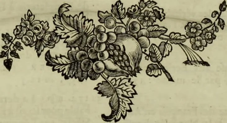 An illustration from Bibliothèque historique de la France, contenant le catalogue des ouvrages, imprimés & manuscrits, qui traitent de l'histoire de ce royaume, ou qui y ont rapport; avec des notes critiques et historiques:, 1768, leaf 143