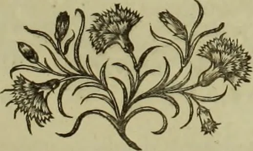 An illustration from Bibliothèque historique de la France, contenant le catalogue des ouvrages, imprimés & manuscrits, qui traitent de l'histoire de ce royaume, ou qui y ont rapport; avec des notes critiques et historiques:, 1768, leaf 16