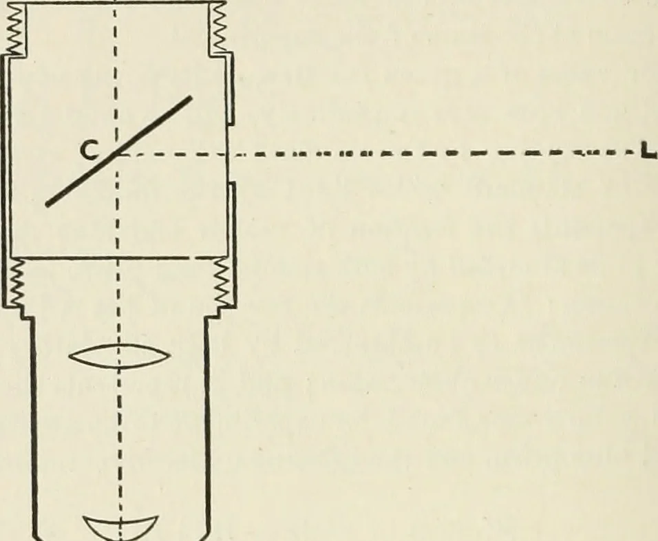 An illustration from Bibliotics; or, The study of documents; determination of the individual character of handwriting and detection of fraud and forgery. New methods of research, 1901, leaf 277
