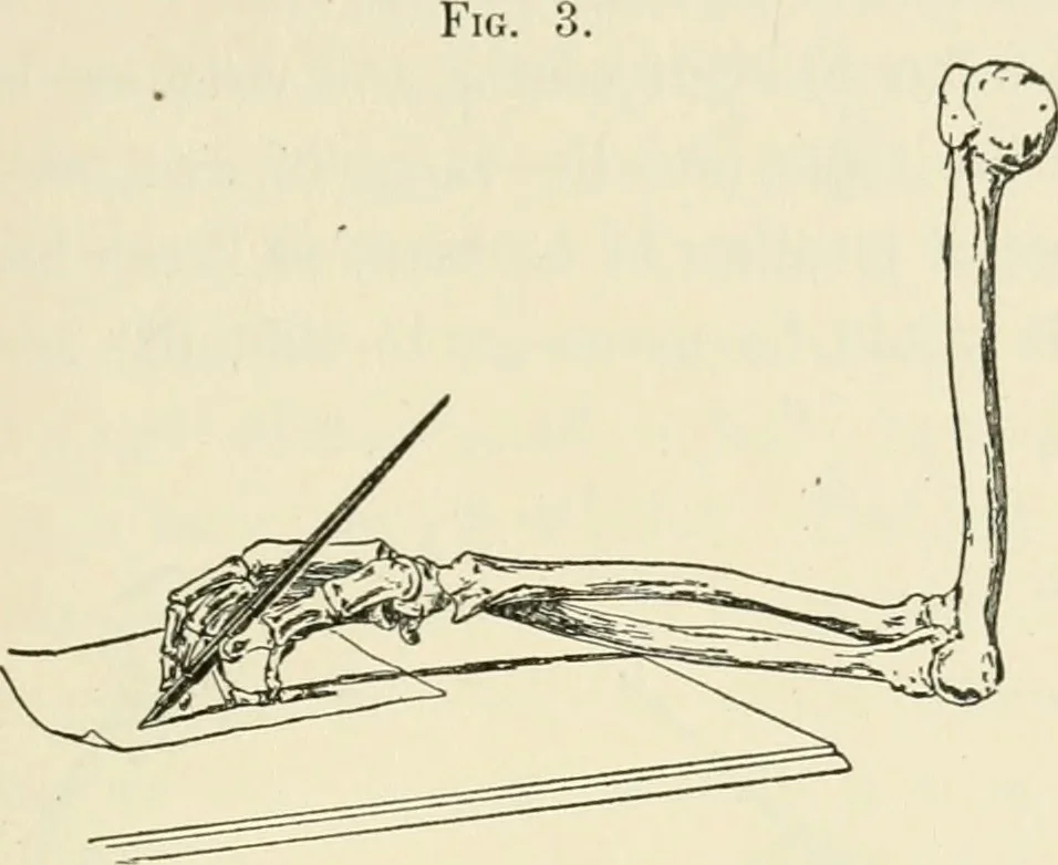 An illustration from Bibliotics; or, The study of documents; determination of the individual character of handwriting and detection of fraud and forgery. New methods of research, 1901, leaf 42
