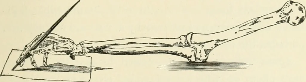 An illustration from Bibliotics; or, The study of documents; determination of the individual character of handwriting and detection of fraud and forgery. New methods of research, 1901, leaf 42