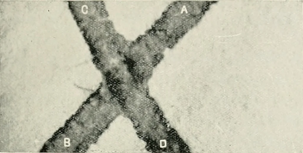 An illustration from Bibliotics; or, The study of documents; determination of the individual character of handwriting and detection of fraud and forgery. New methods of research, 1901, leaf 78