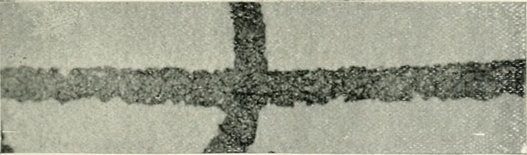 An illustration from Bibliotics; or, The study of documents; determination of the individual character of handwriting and detection of fraud and forgery. New methods of research, 1901, leaf 78