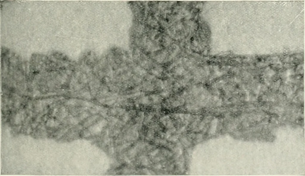 An illustration from Bibliotics; or, The study of documents; determination of the individual character of handwriting and detection of fraud and forgery. New methods of research, 1901, leaf 78