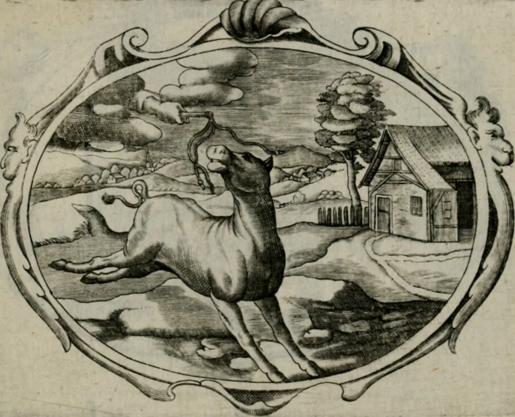 An illustration from Biblische Emblemata und Figuren : welche in den zweyen verneurten Stuben desz Hospitals zum heiligen Geist in Nürmberg allen Krancken zu sondern Trost anstatt der Schrifft sind vorgemalet worden. In Küpffer gestochen durch : Johanni Pfann .., 1626, leaf 34