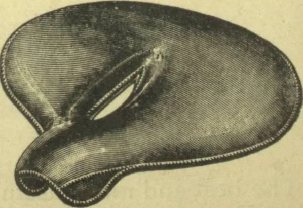 An illustration from Bicycle accessories : 1900 [catalogue, 1900, leaf 37