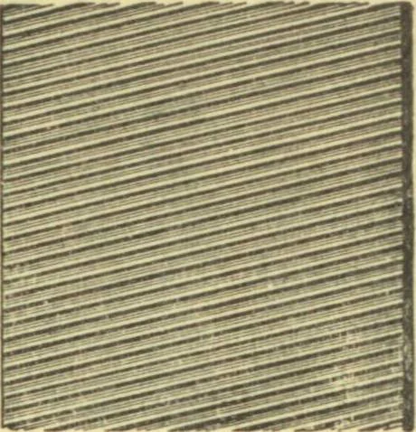An illustration from Bicycle accessories : 1900 [catalogue, 1900, leaf 72