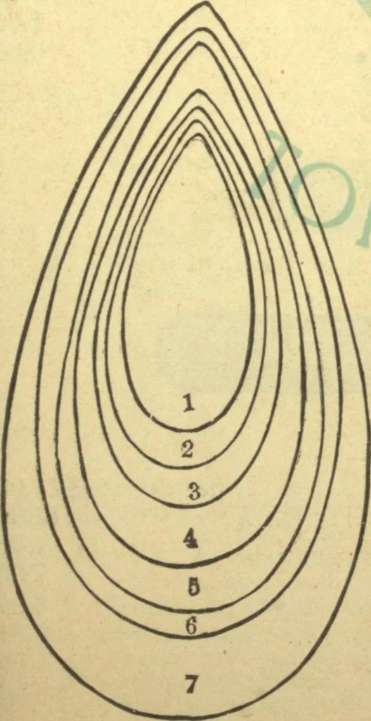 An illustration from Bicycle accessories : 1900 [catalogue, 1900, leaf 82