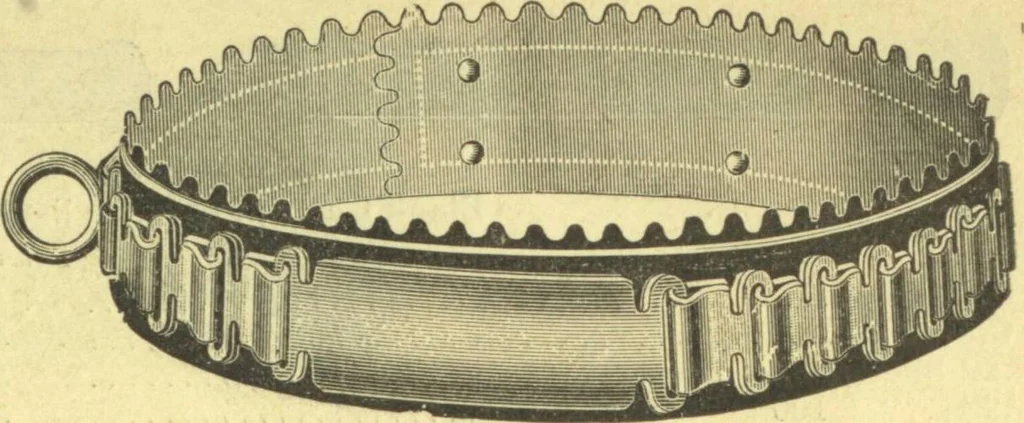 An illustration from Bicycle accessories : 1900 [catalogue, 1900, leaf 88