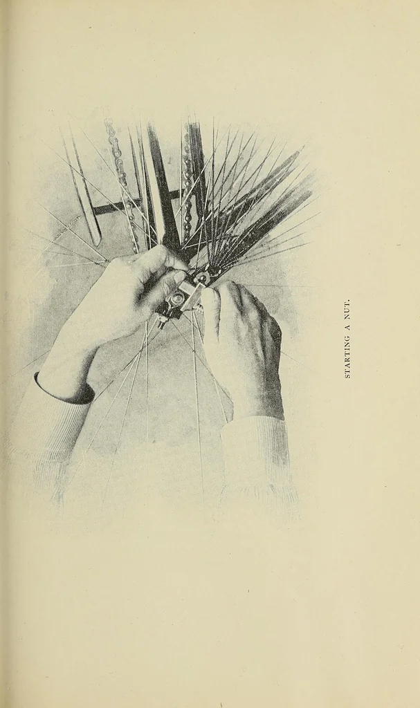 An illustration from Bicycling for ladies : with hints as to the art of wheeling, advice to beginners, dress, care of the bicycle, mechanics, training, exercise, etc., etc., 1896, leaf 187